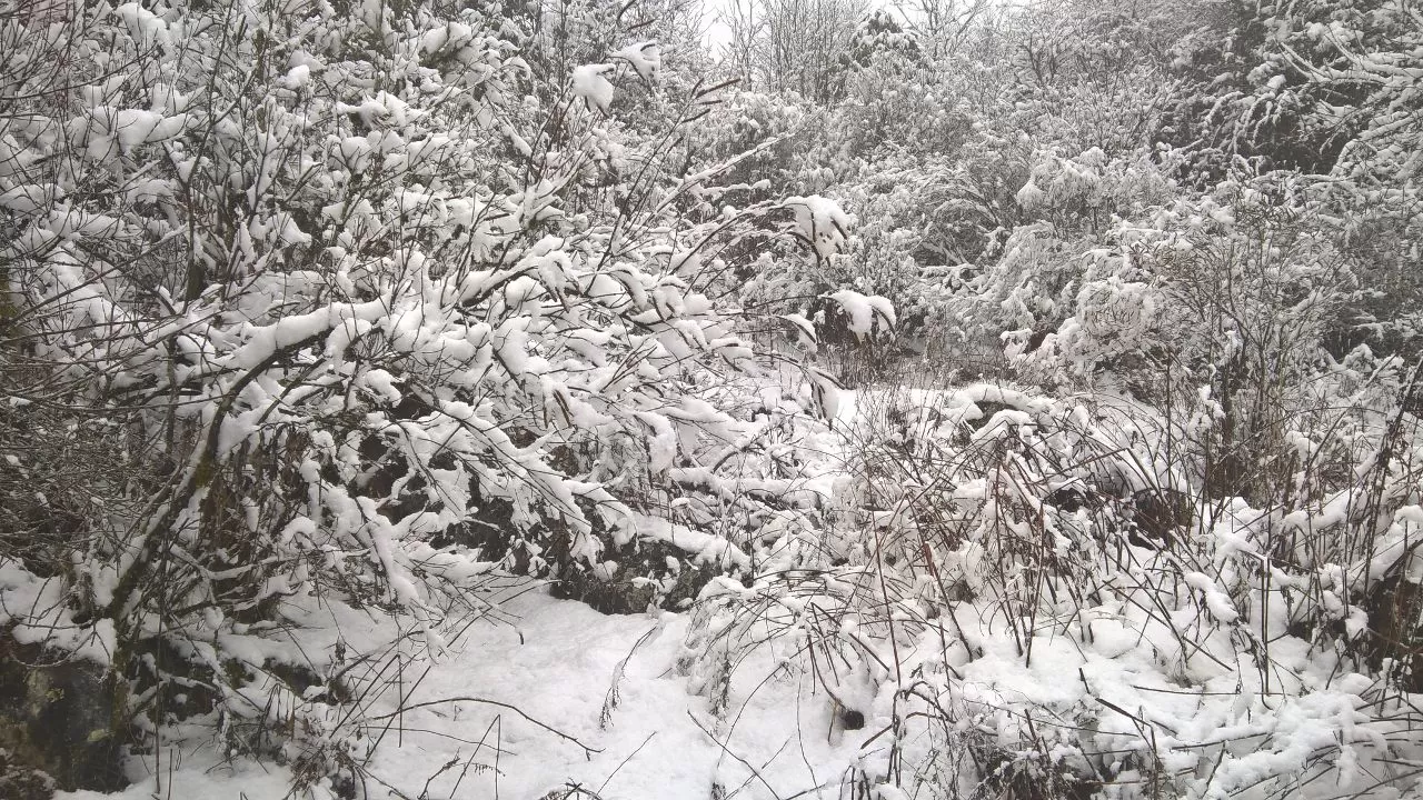 Photo of Uttarakhand By Samiksha Khanduri