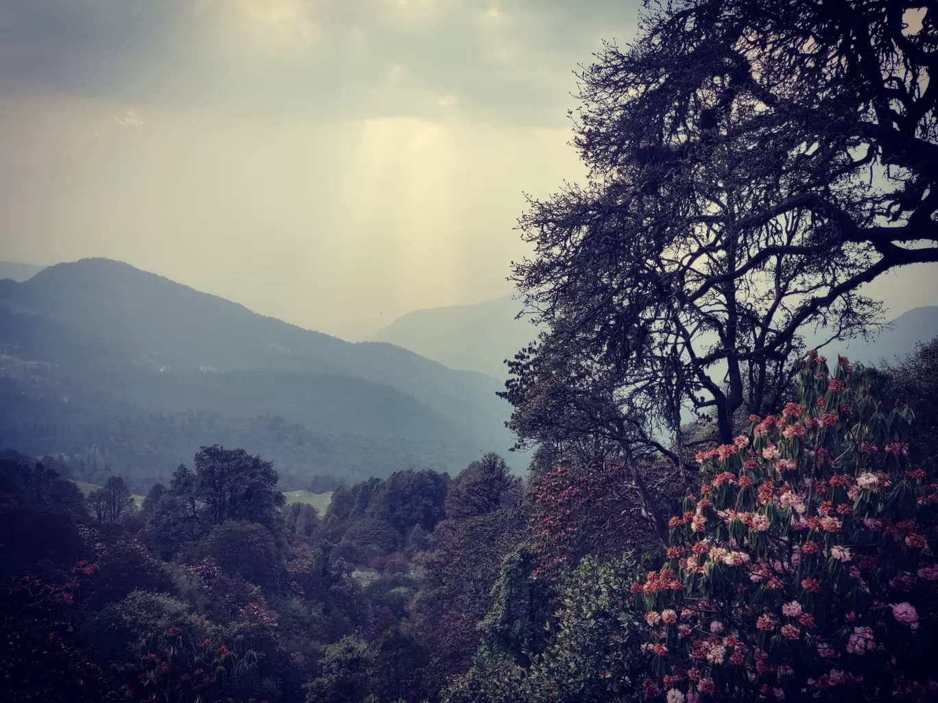 Photo of Tungnath By Abhinav Sharma