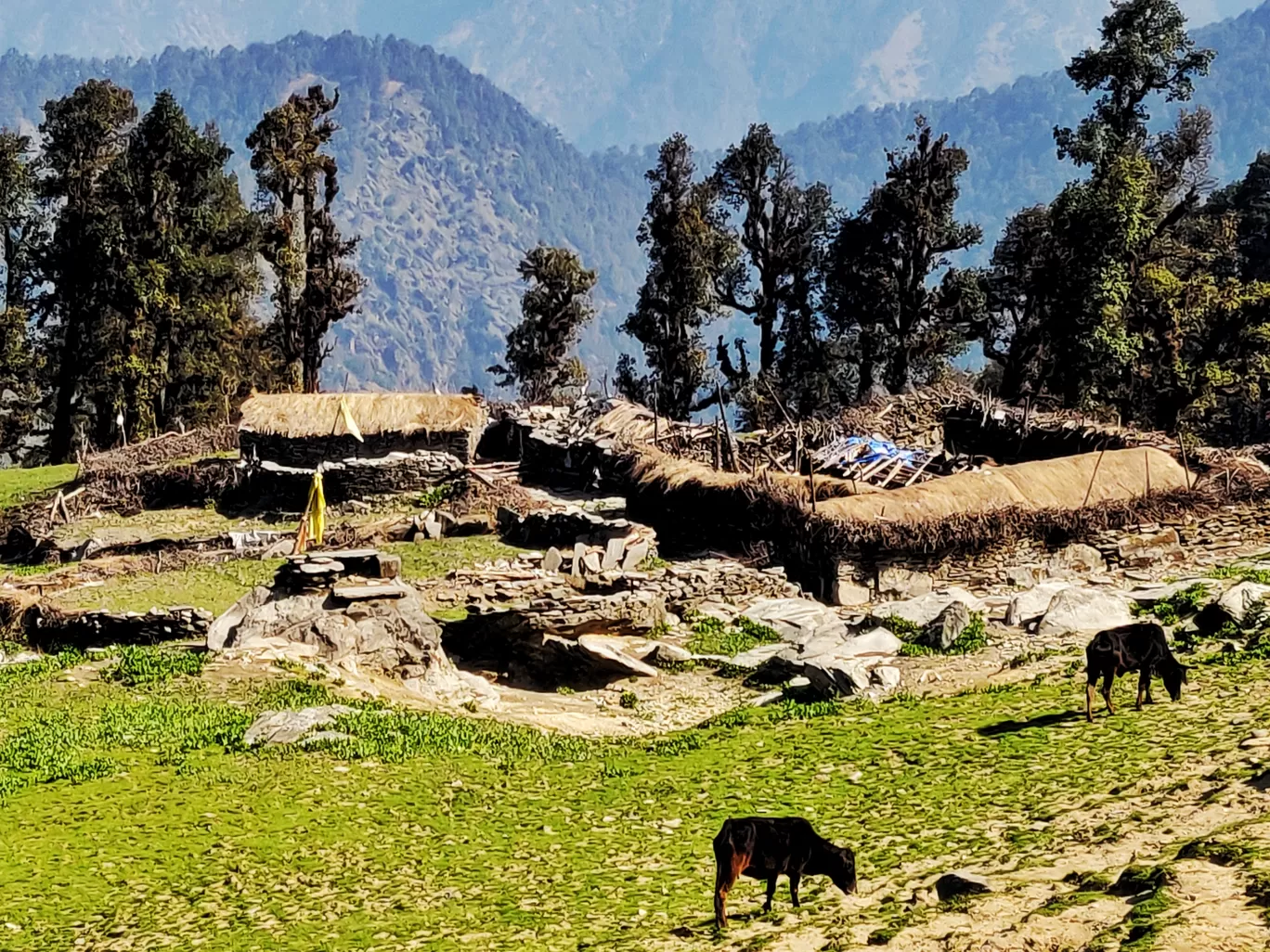 Photo of Tungnath By Abhinav Sharma