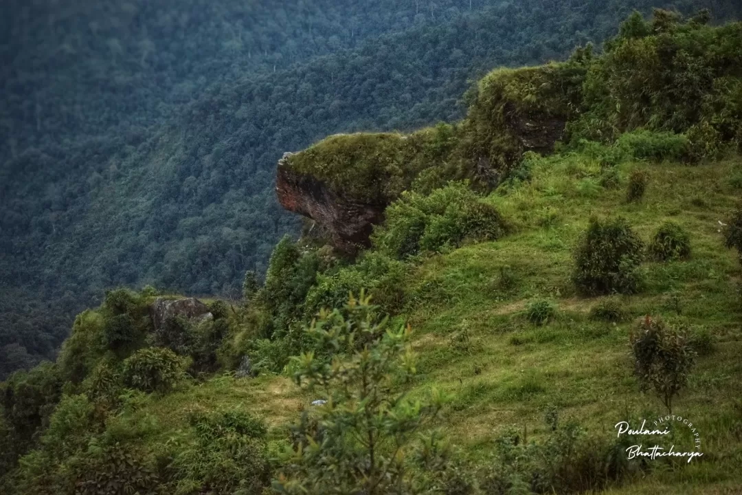 Photo of Ahaldara View Point By Poulami Bhattacharya