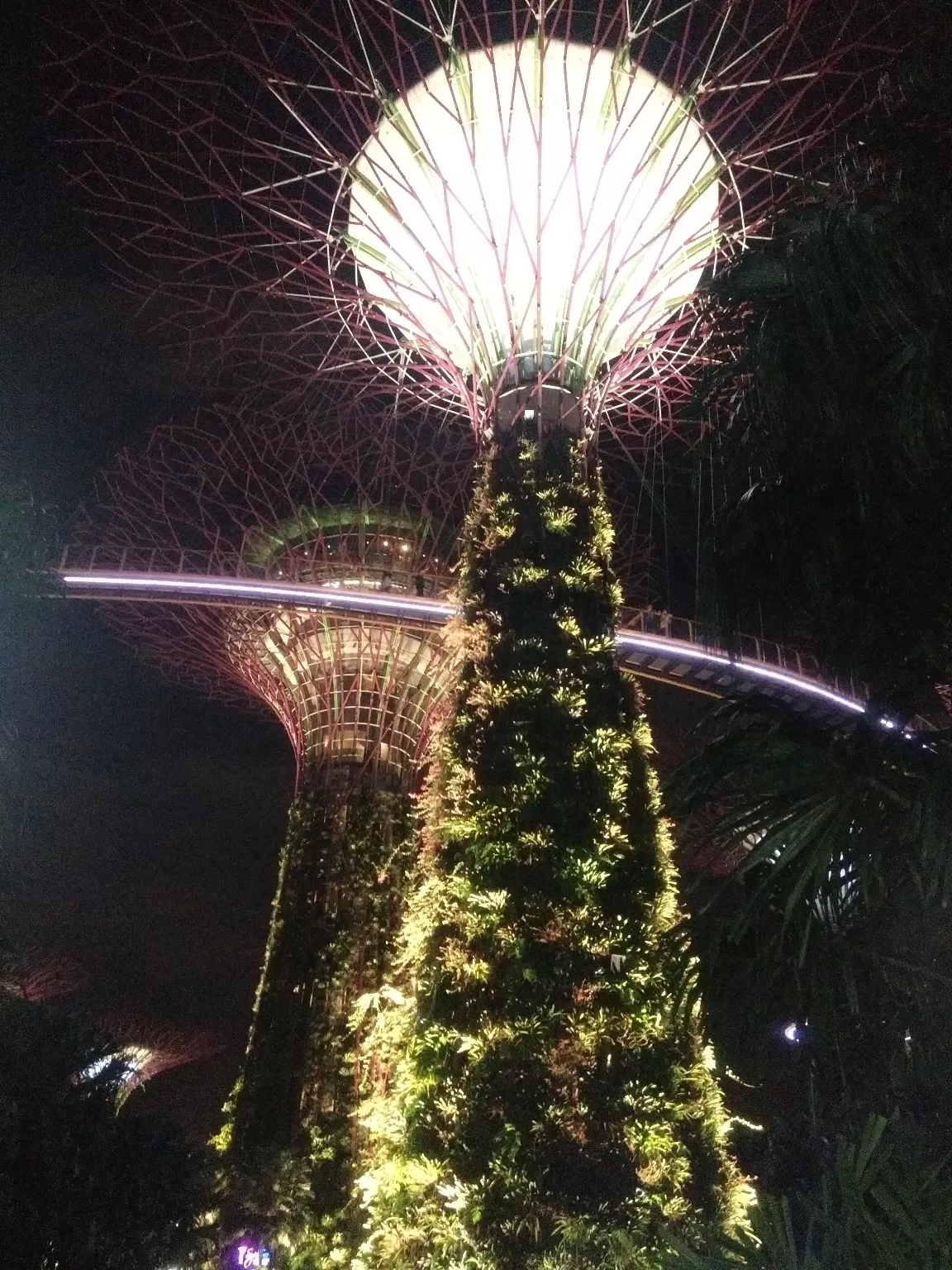 Photo of Singapore By Kalpita and Rahul
