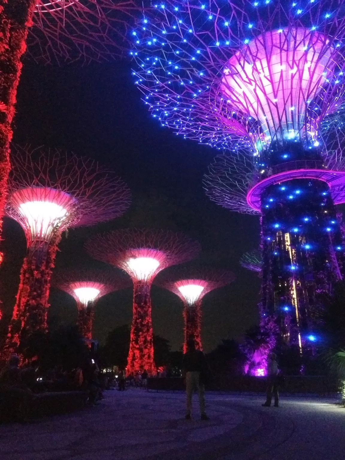 Photo of Singapore By Kalpita and Rahul