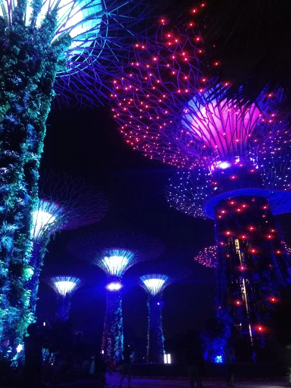 Photo of Singapore By Kalpita and Rahul