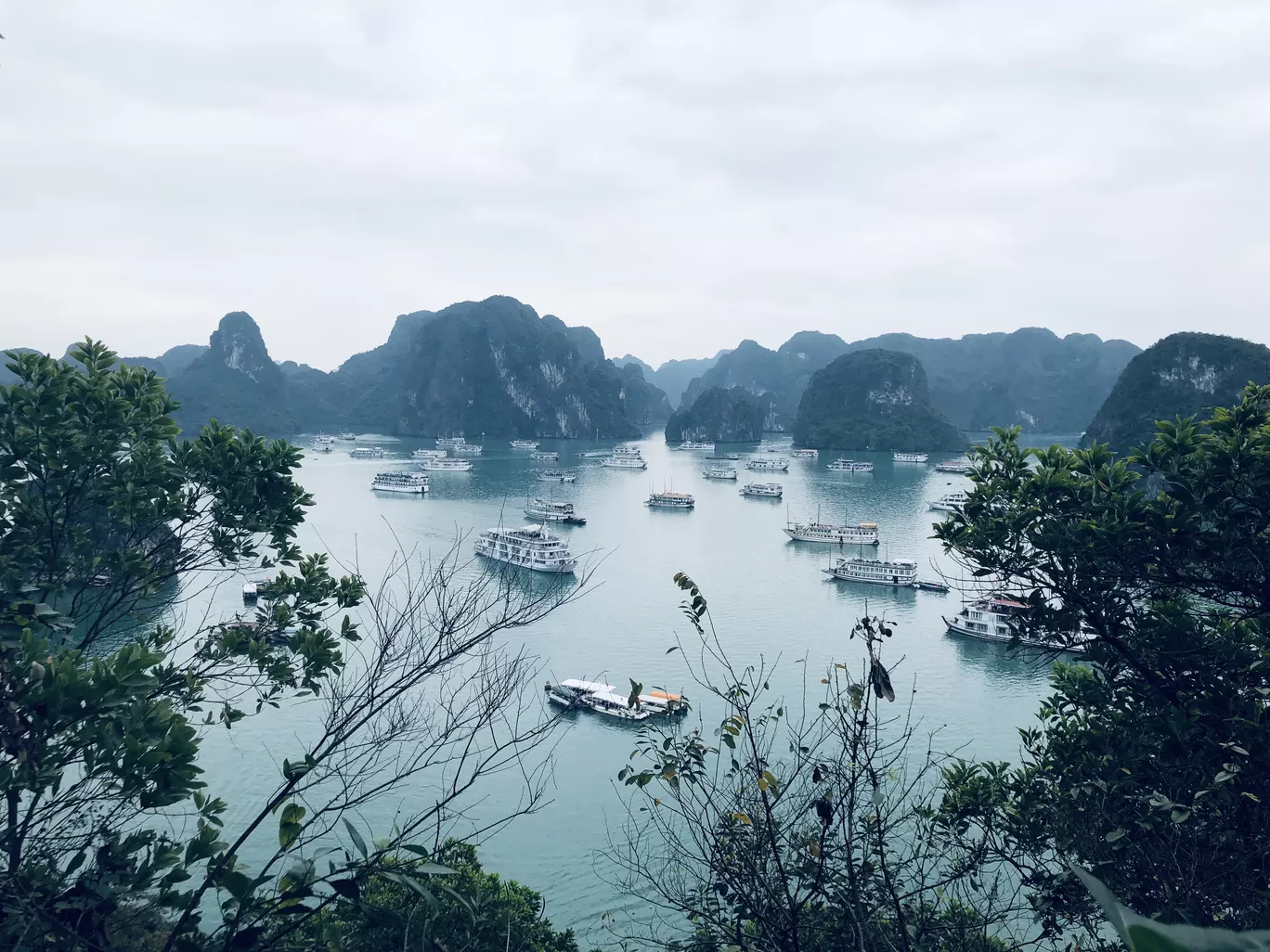 Photo of Hạ Long Bay By Aditya Sharma