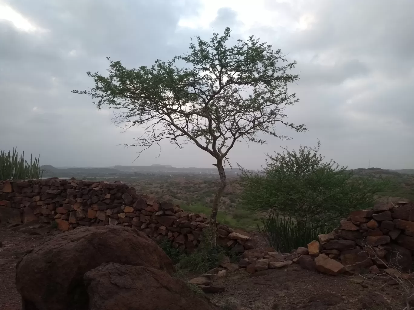 Photo of Bheem Bhadak By Mohit Jain