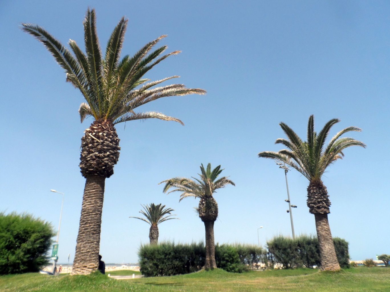 Photo of Portugal - Algarve, West Coast By Matthew Nyíri
