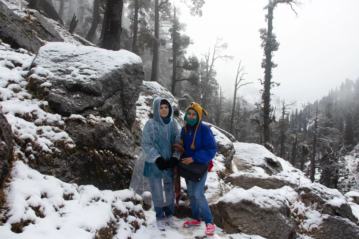 Photo of Kareri Lake Trek By Manu K K Verma