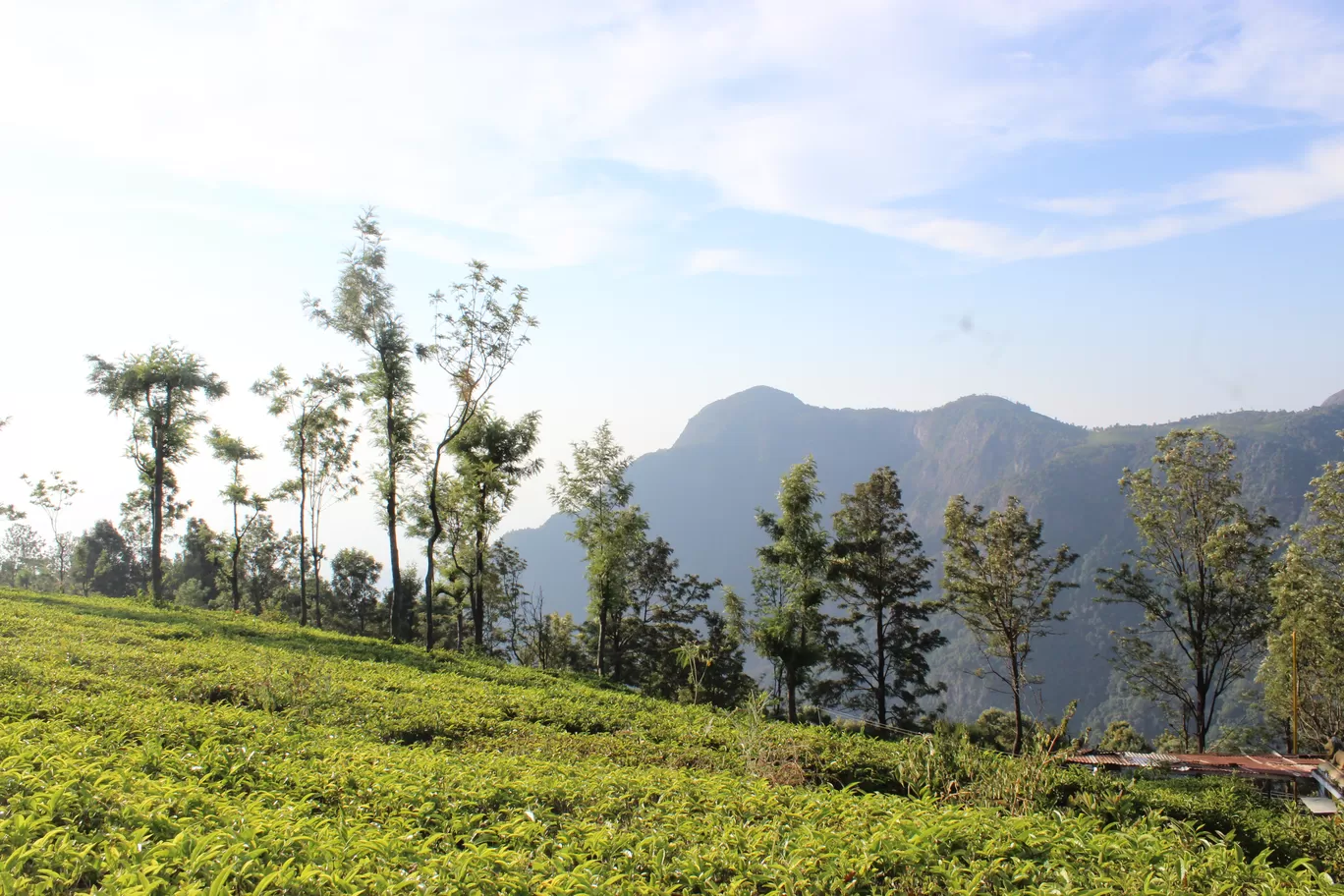 Photo of India By Anushri Bhambore