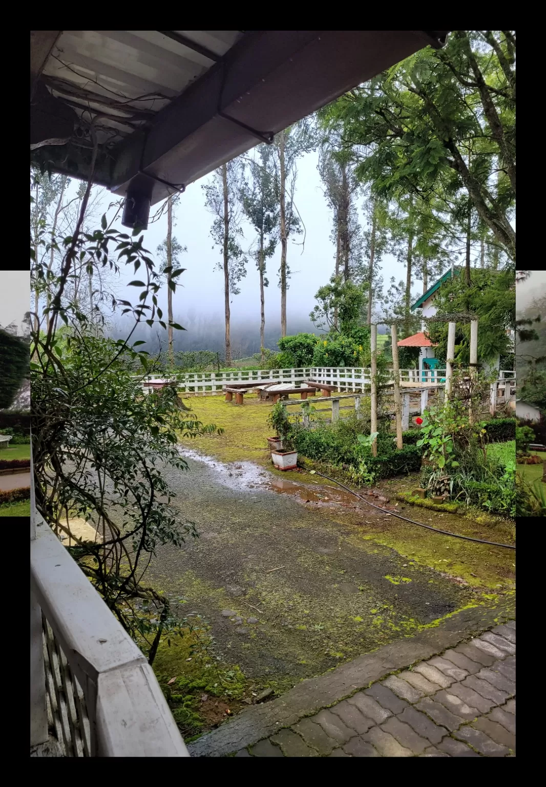 Photo of SaffronStays Milton Abbott Estate By Neha Manavi