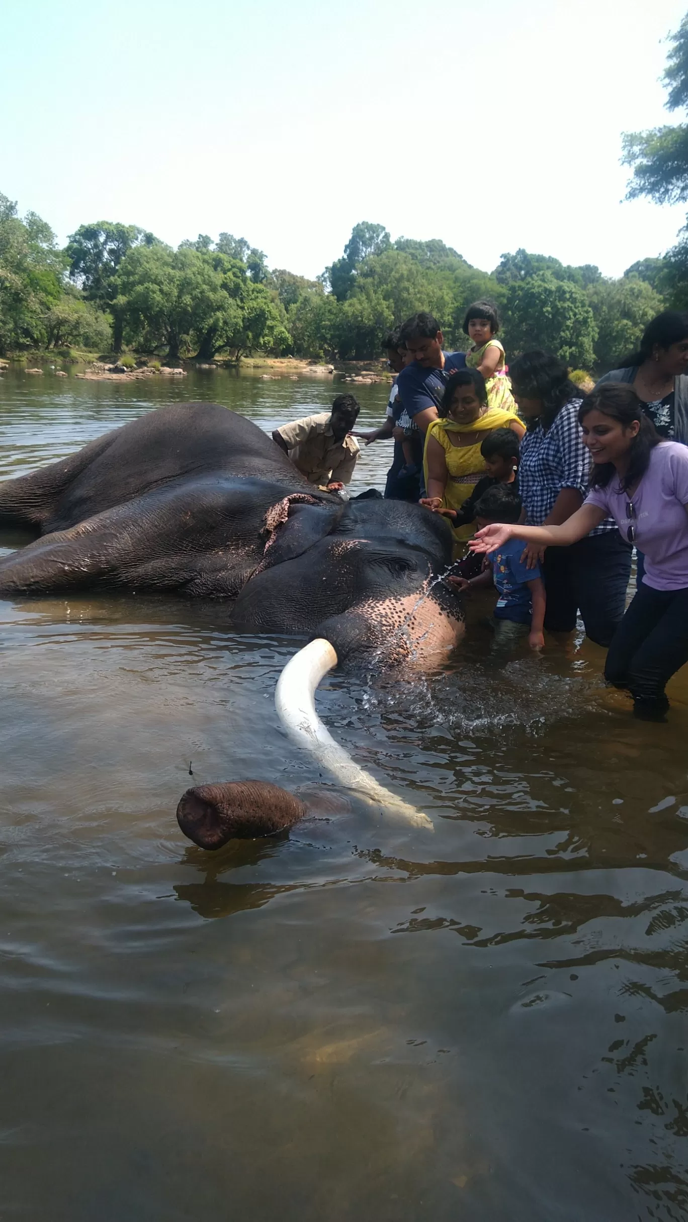 Photo of Dubare Elephant Camp By Yogeshkumar