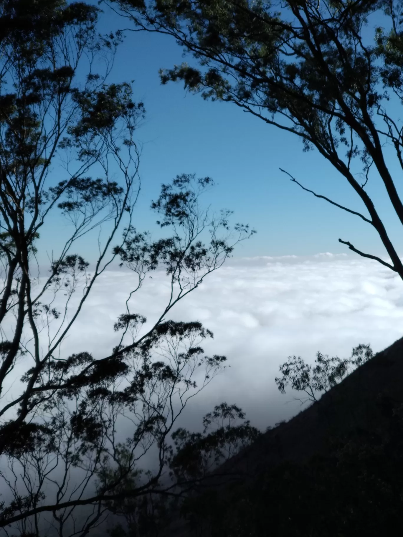 Photo of Nandi Hills By Vijayaram