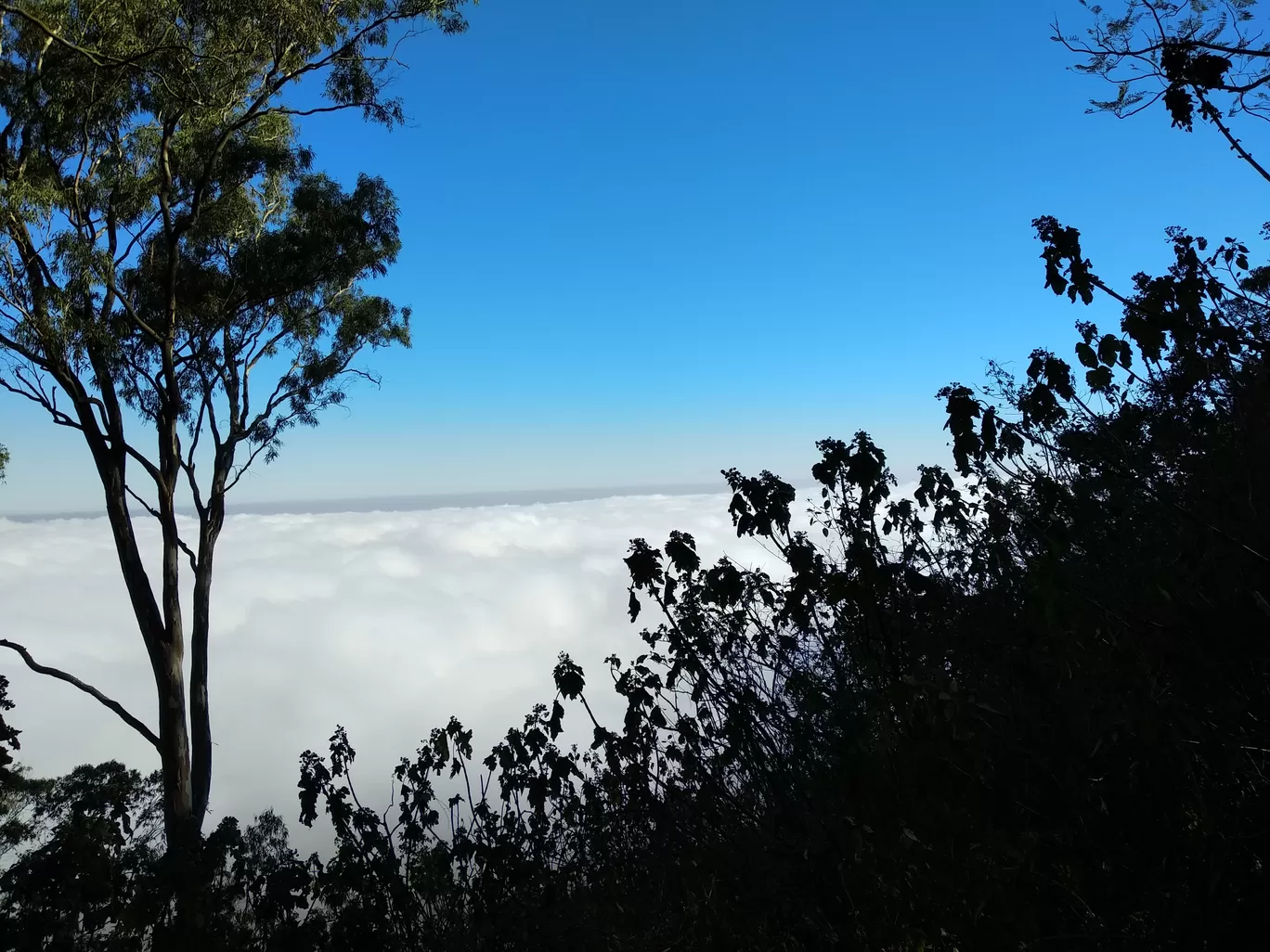 Photo of Nandi Hills By Vijayaram