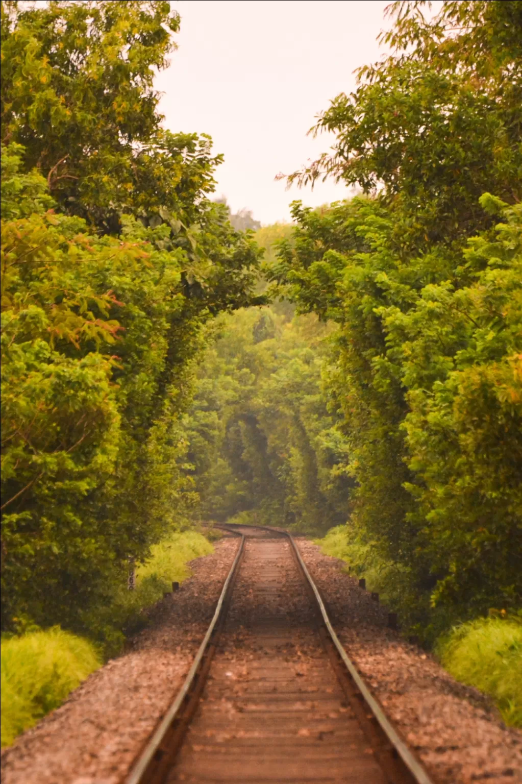 Photo of Karnataka By Mastane Musafir