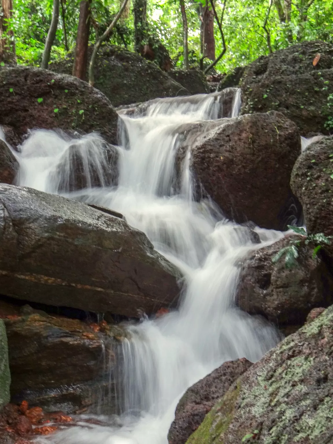 Photo of Karnataka By Mastane Musafir