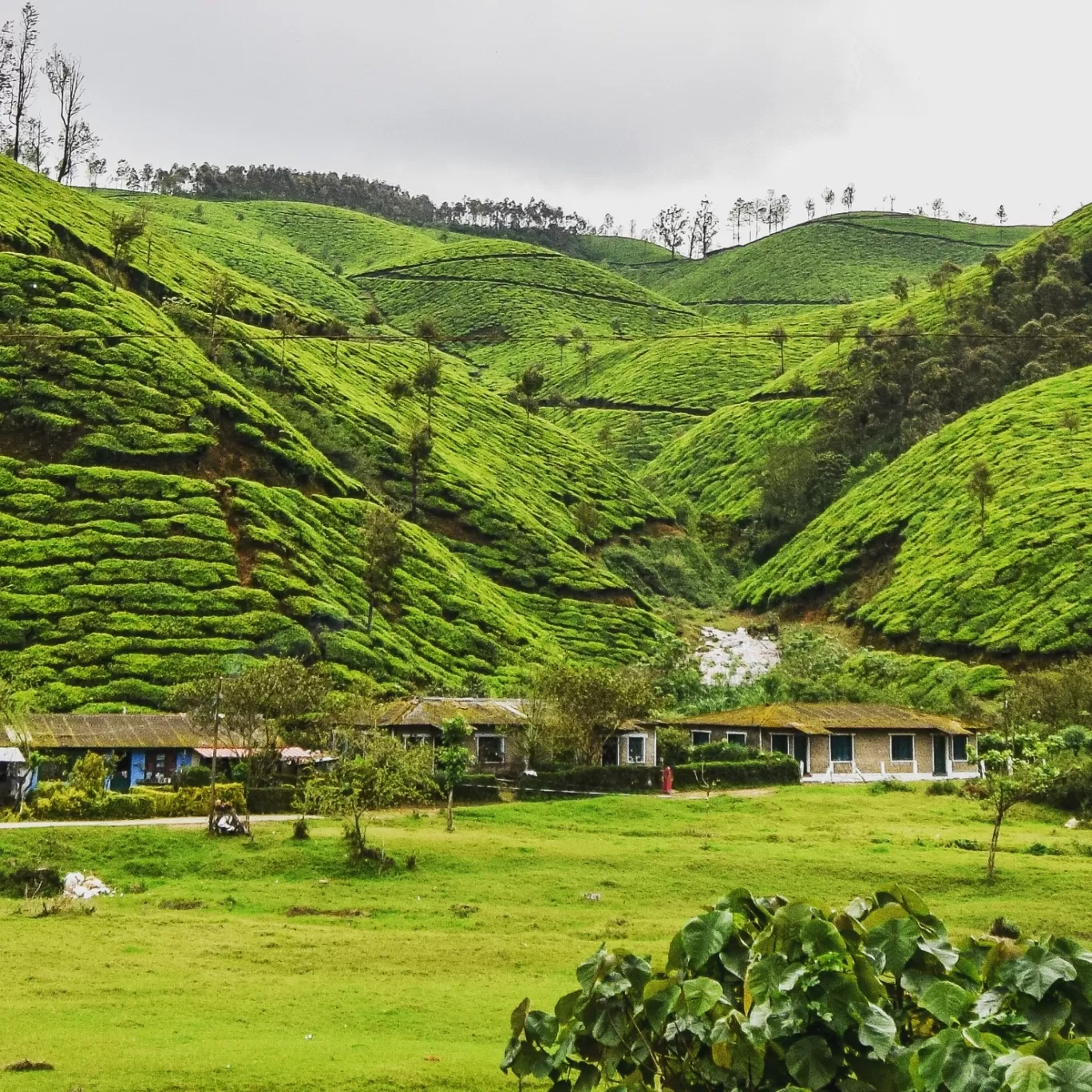 Photo of India By Mastane Musafir