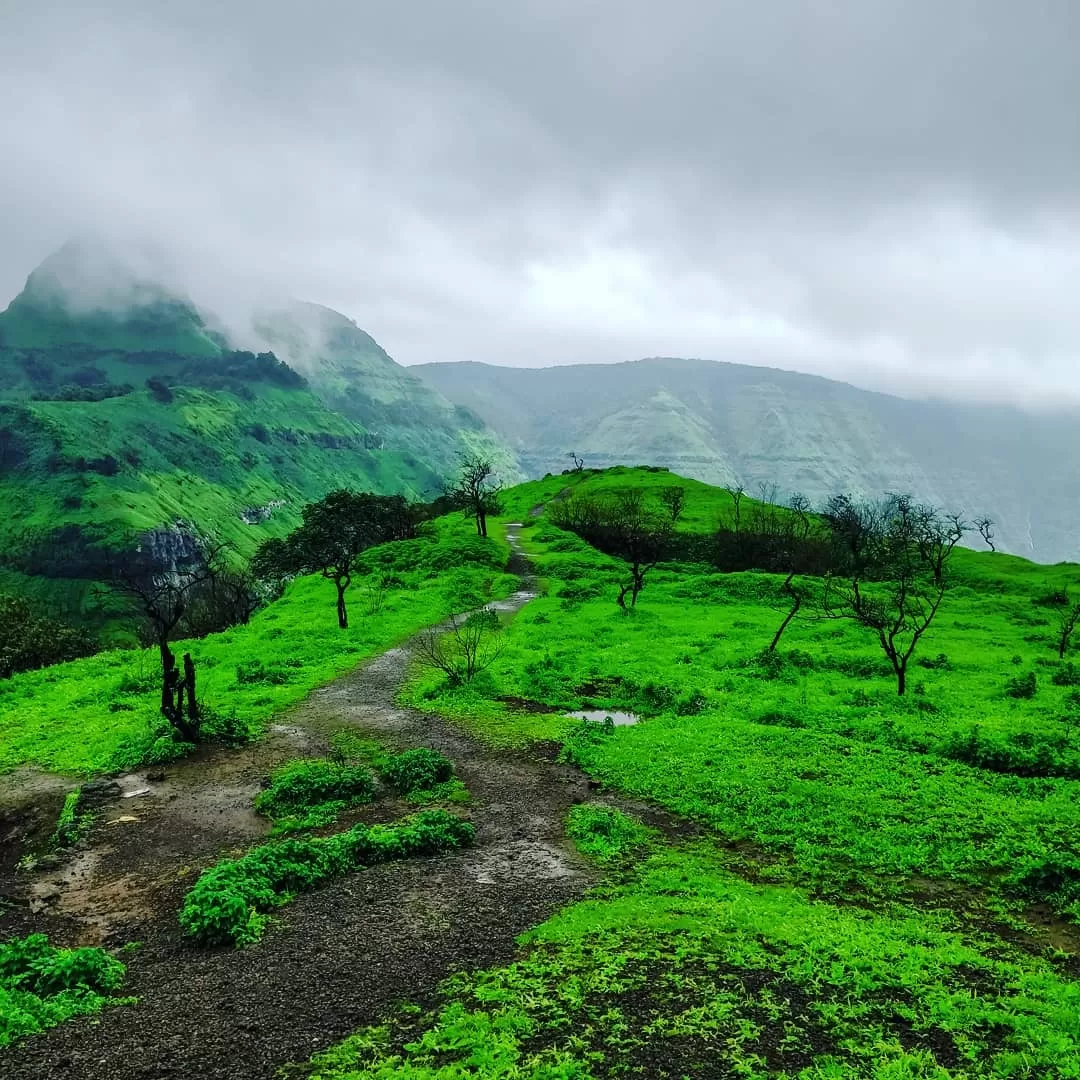 Photo of India By Mastane Musafir
