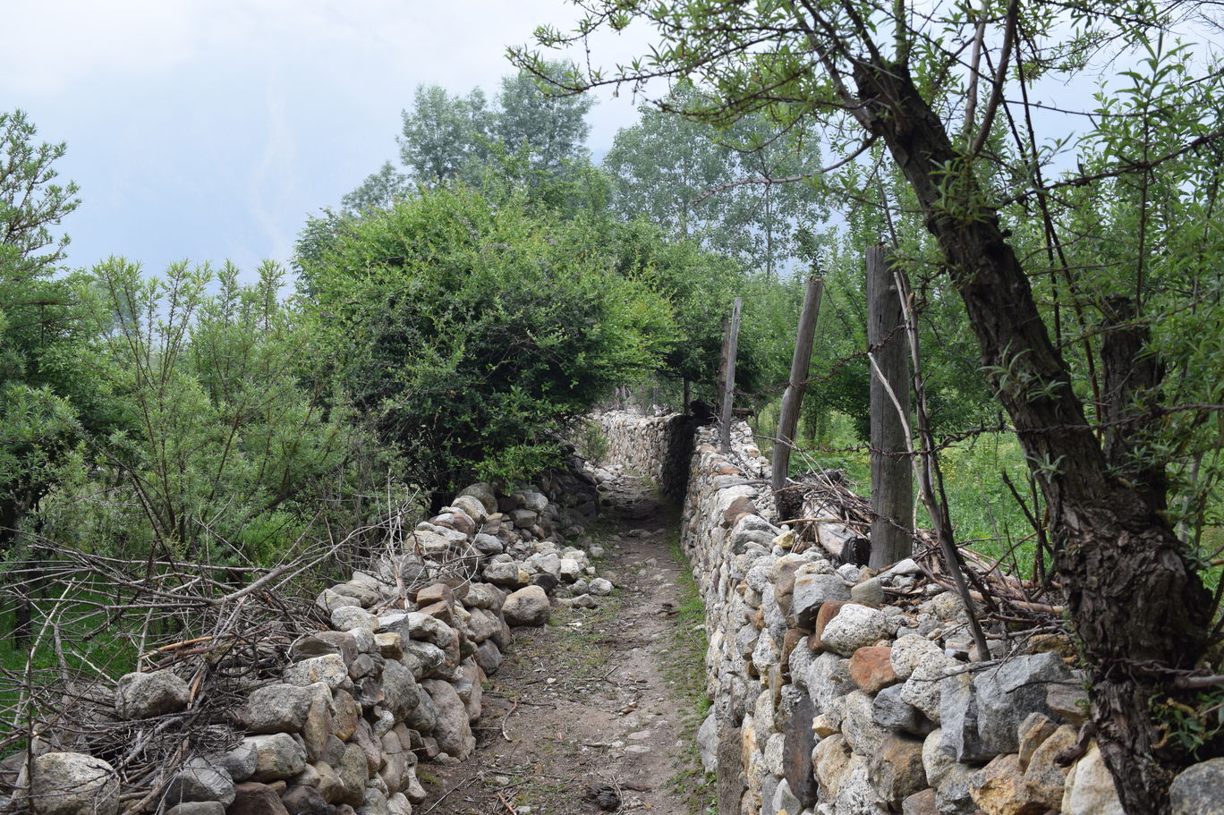 Photo of Trip to Kinnaur - Kaza By Ayushmat Soni