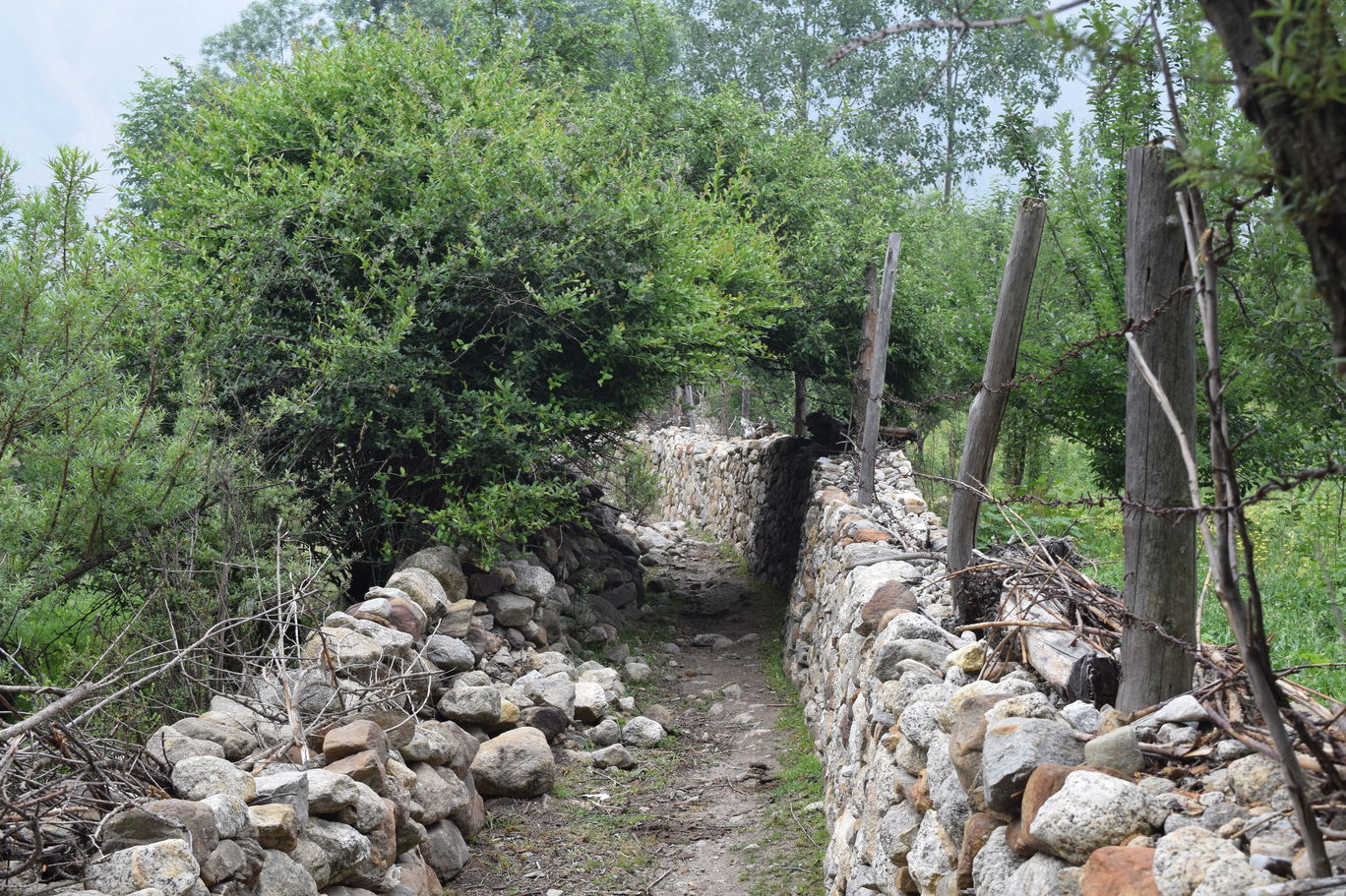 Photo of Trip to Kinnaur - Kaza By Ayushmat Soni