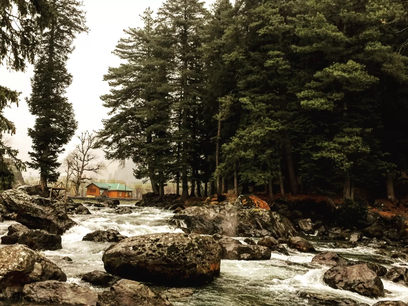 Photo of Jammu and Kashmir By Anushweta Baruah