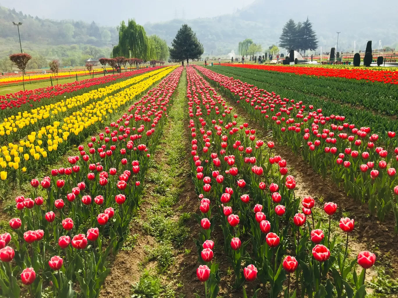 Photo of Jammu and Kashmir By Anushweta Baruah