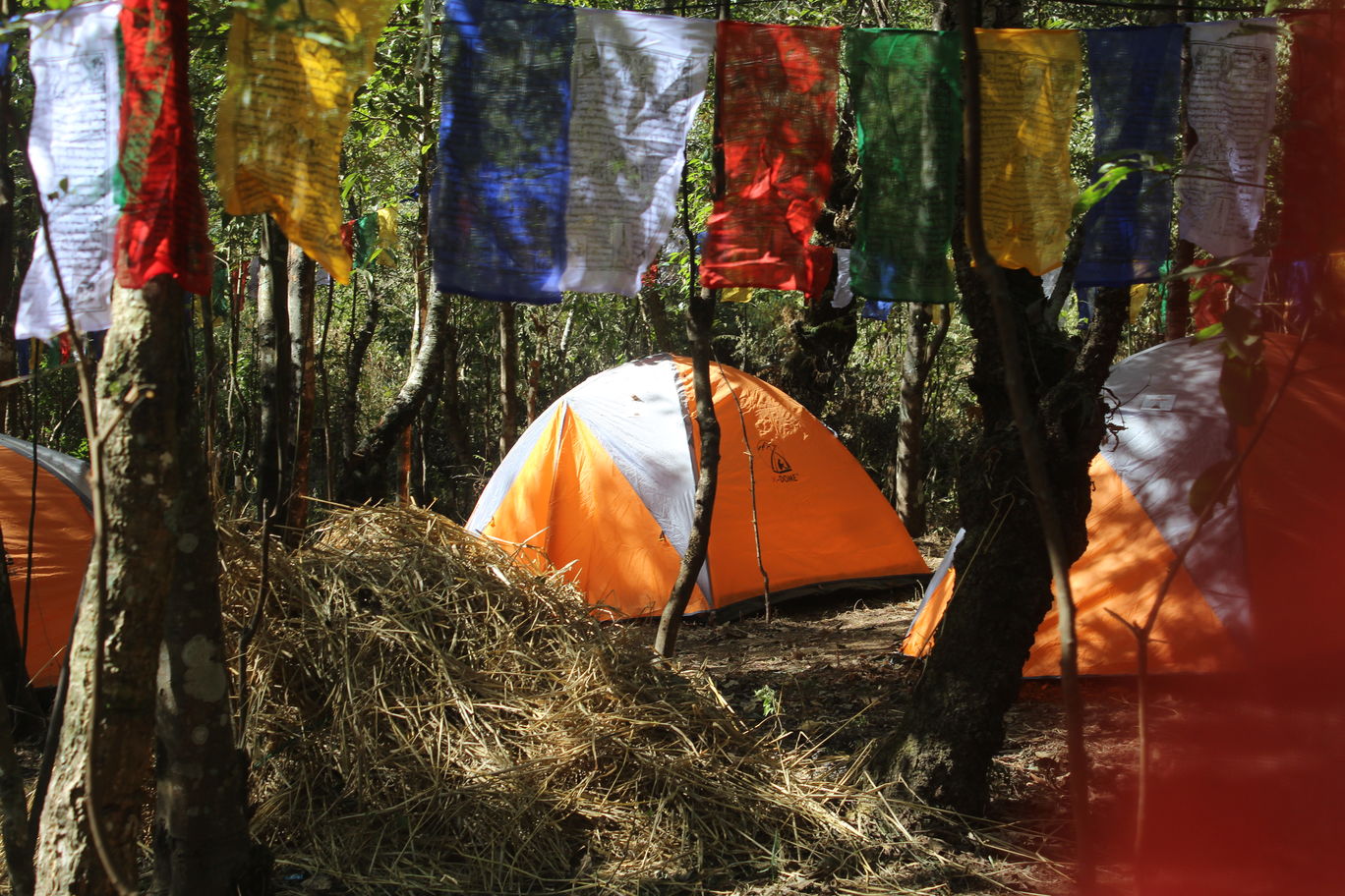 Photo of HORNBILL FESTIVAL By Rituraj Gogoi
