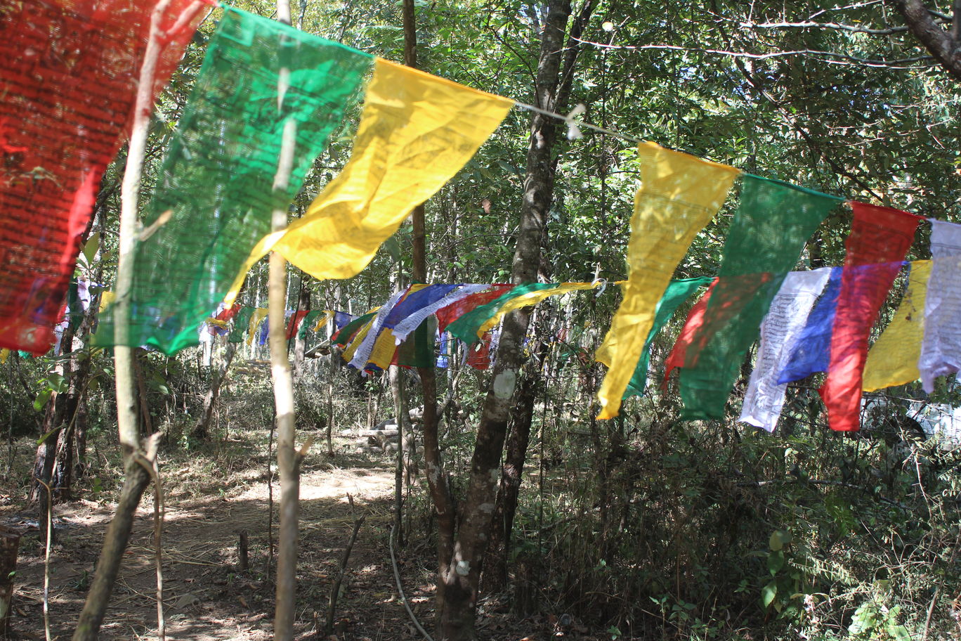 Photo of HORNBILL FESTIVAL By Rituraj Gogoi