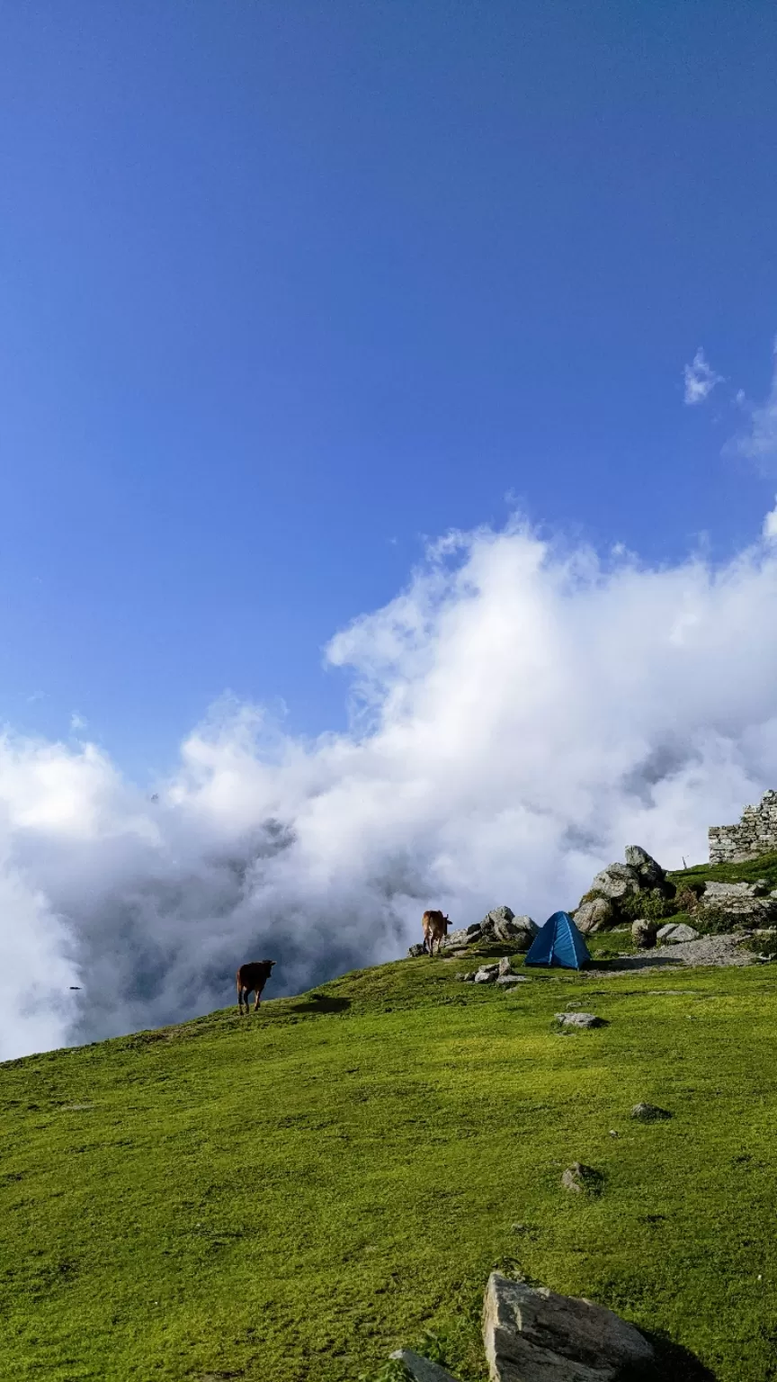 Photo of Triund Trek By Aditya Singh