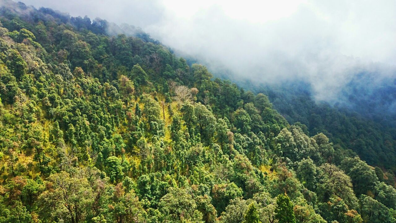Photo of Landscape Uttarakhand!! By harsh Singh