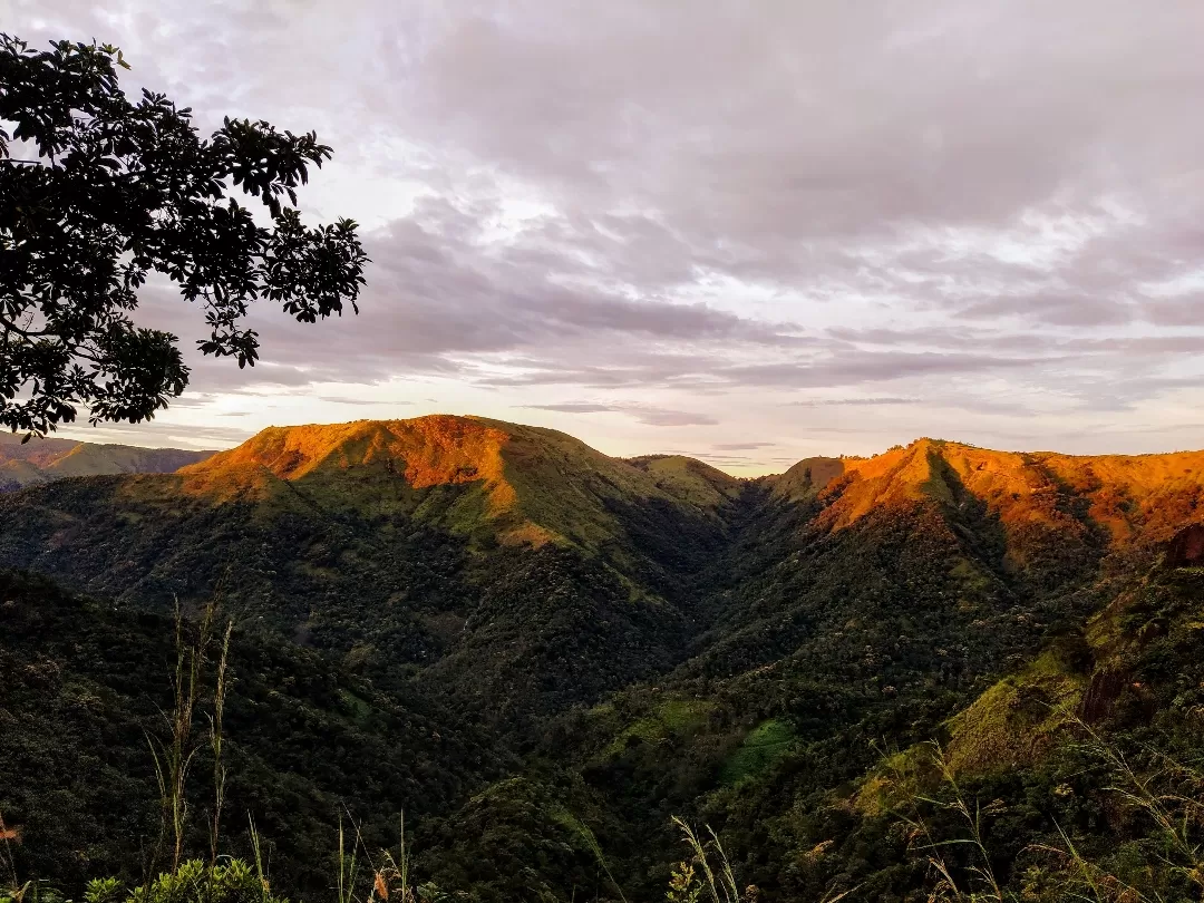 Photo of Vagamon By rashmi u