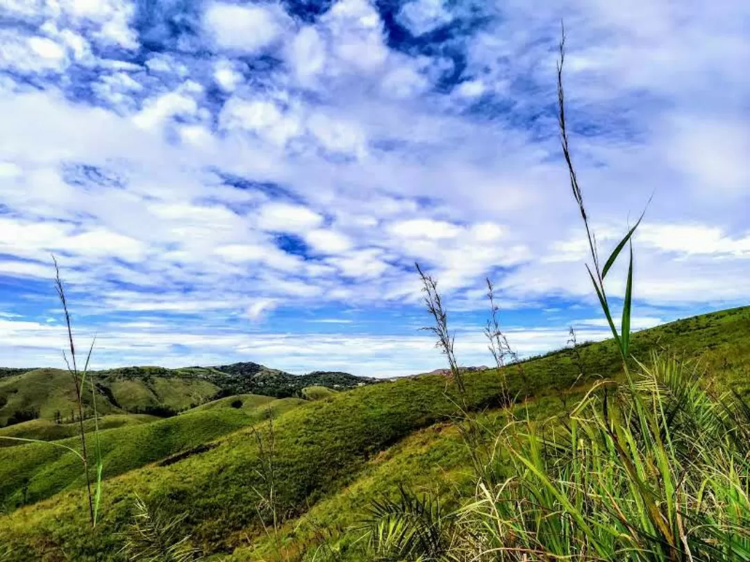 Photo of Vagamon By rashmi u