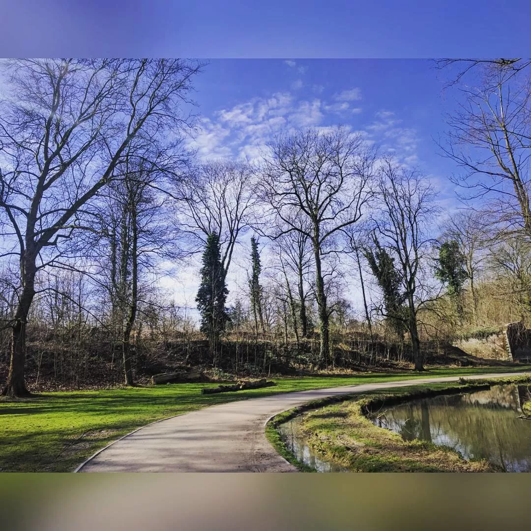Photo of Lille By Neeharika Sekhar
