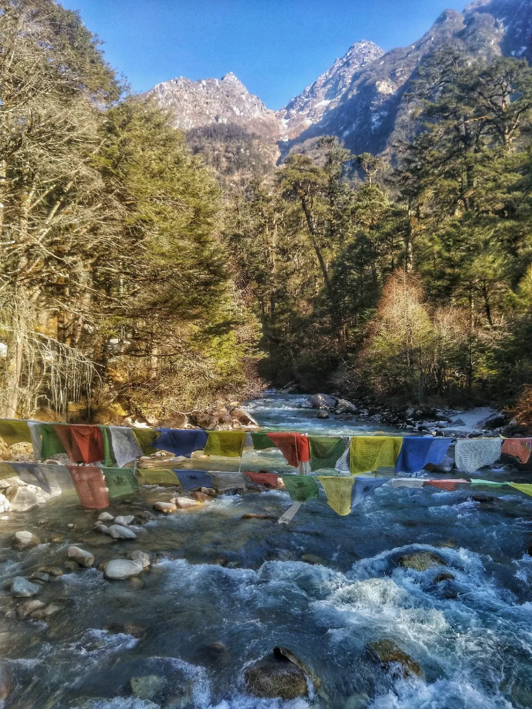 Photo of Lachung By Sayan Mitra