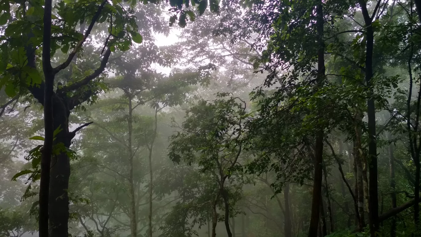 Photo of Magod Falls By Chetan Ph (siddharth)