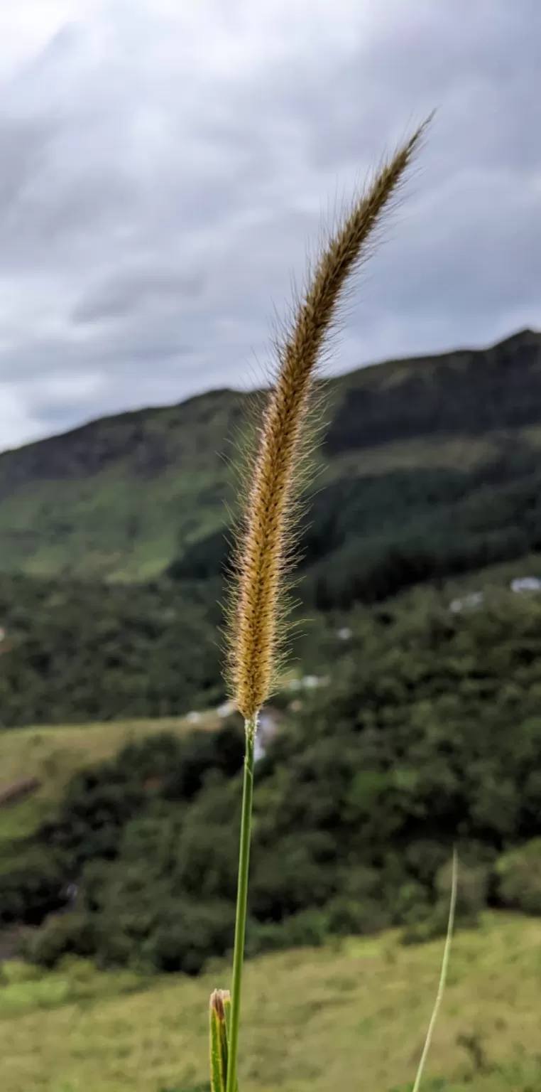 Photo of Vagamon By Jaffar Sadhik