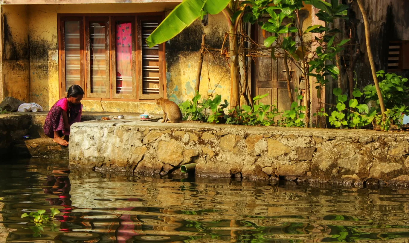 Photo of Kerala By Anjali Singh