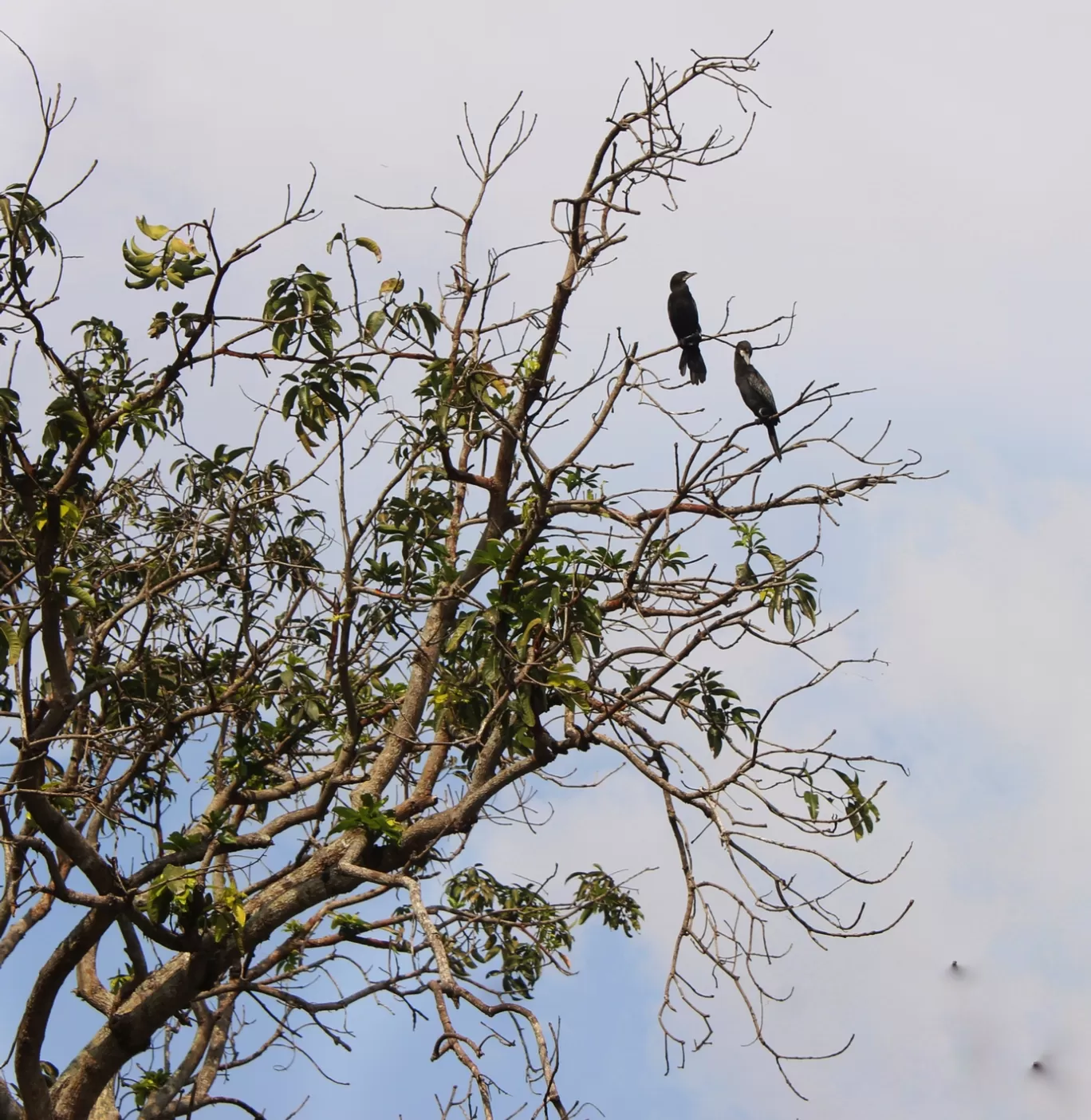 Photo of Kerala By Anjali Singh