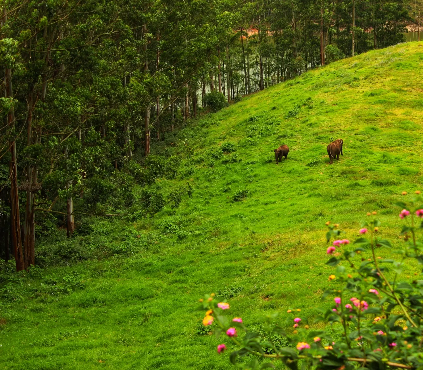 Photo of Kerala By Anjali Singh