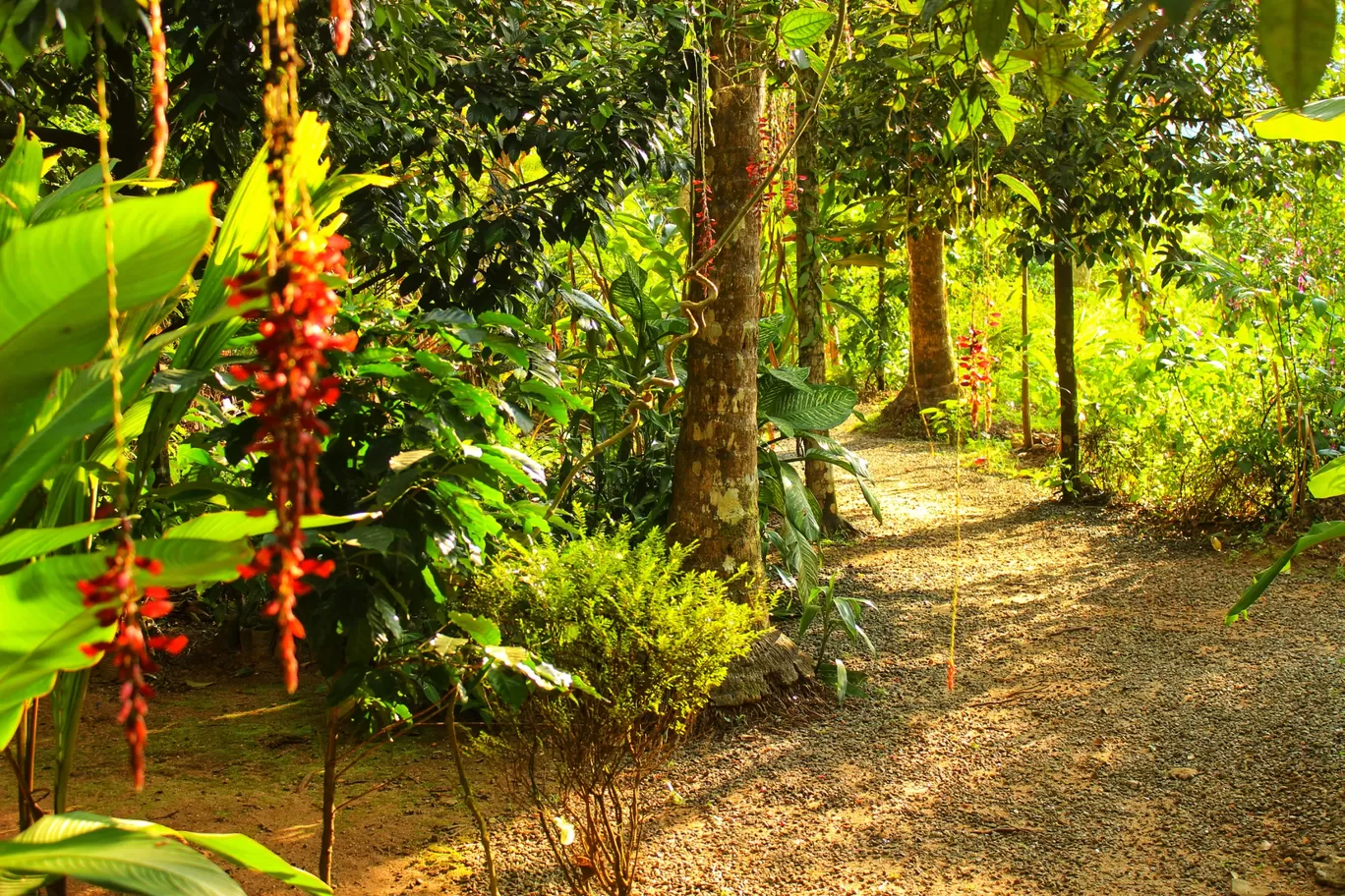 Photo of Kerala By Anjali Singh