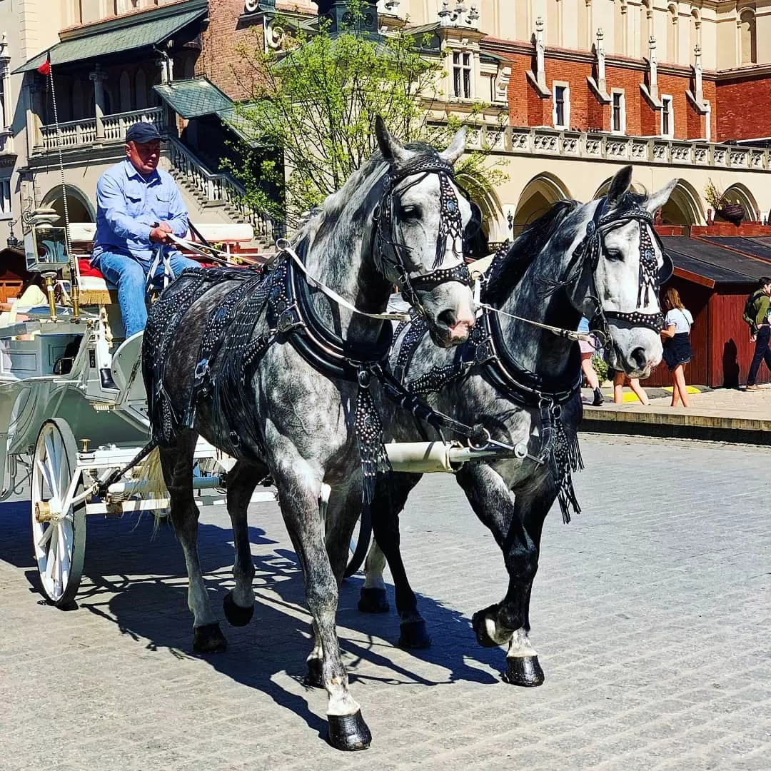 Photo of Kraków Old Town By Sandeep Singh Hada