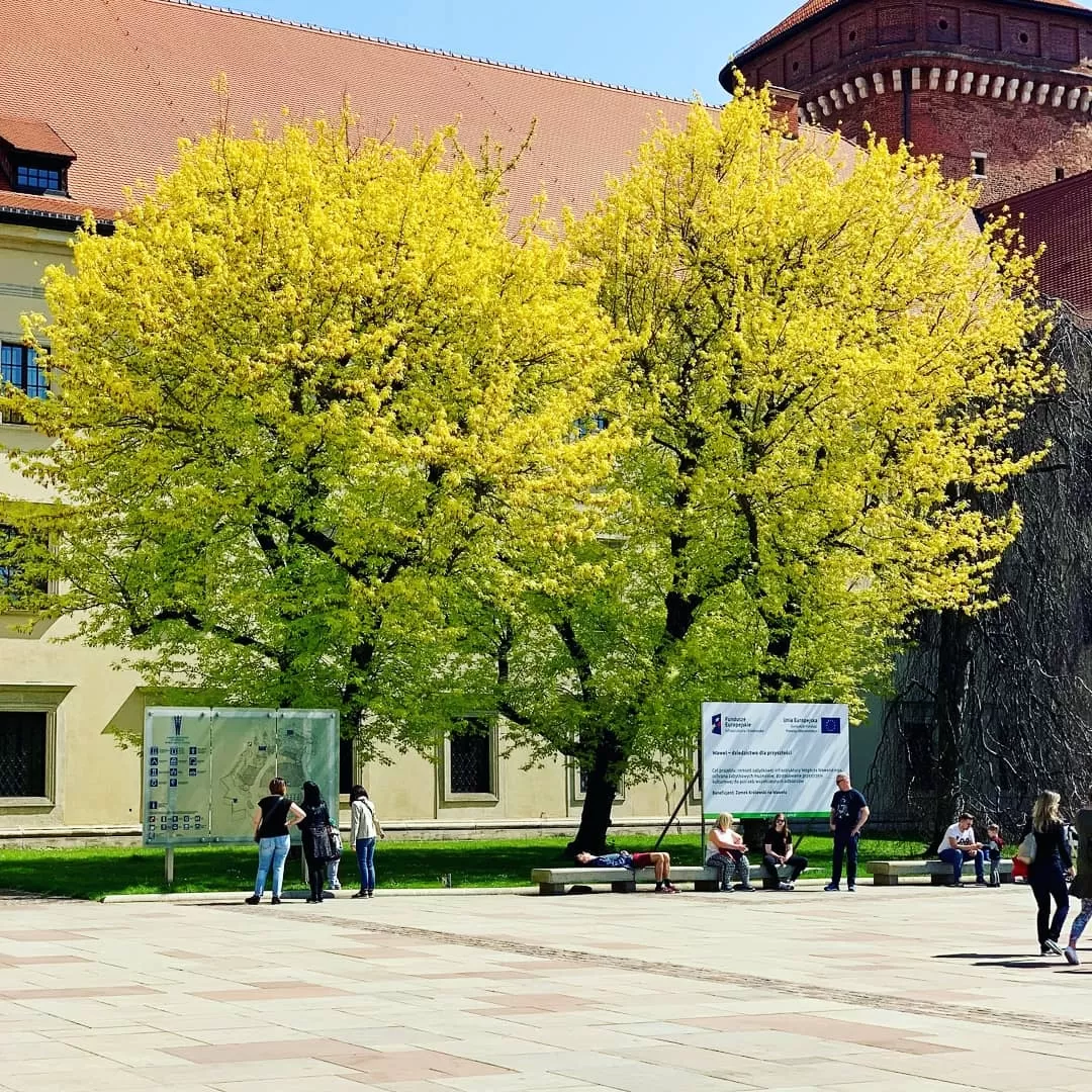 Photo of Kraków Old Town By Sandeep Singh Hada