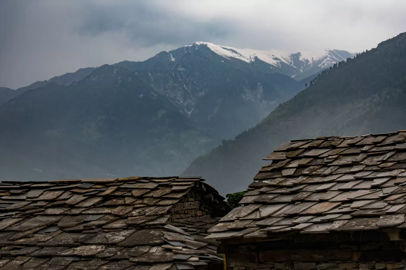 Photo of Naggar Castle By Ravi K Gupta