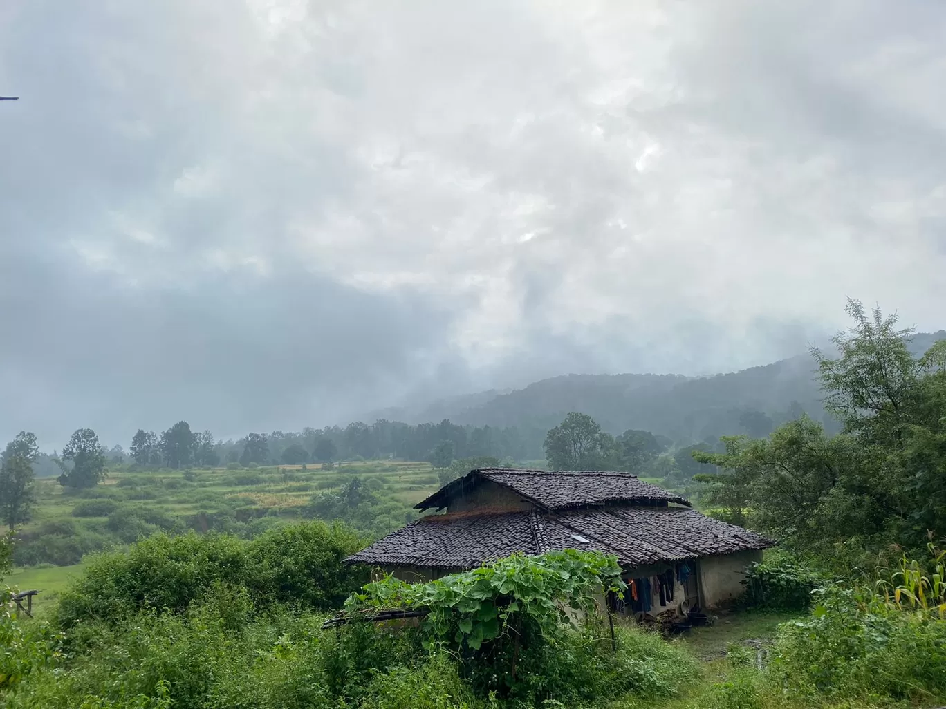 Photo of Netarhat By pooja(everything_the_sun1)
