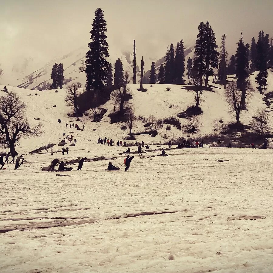 Photo of Gulmarg By The Nomad