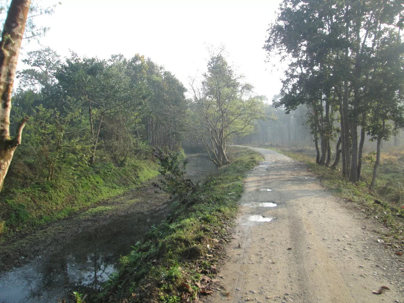 Photo of Chitwan National Park By The Nomad