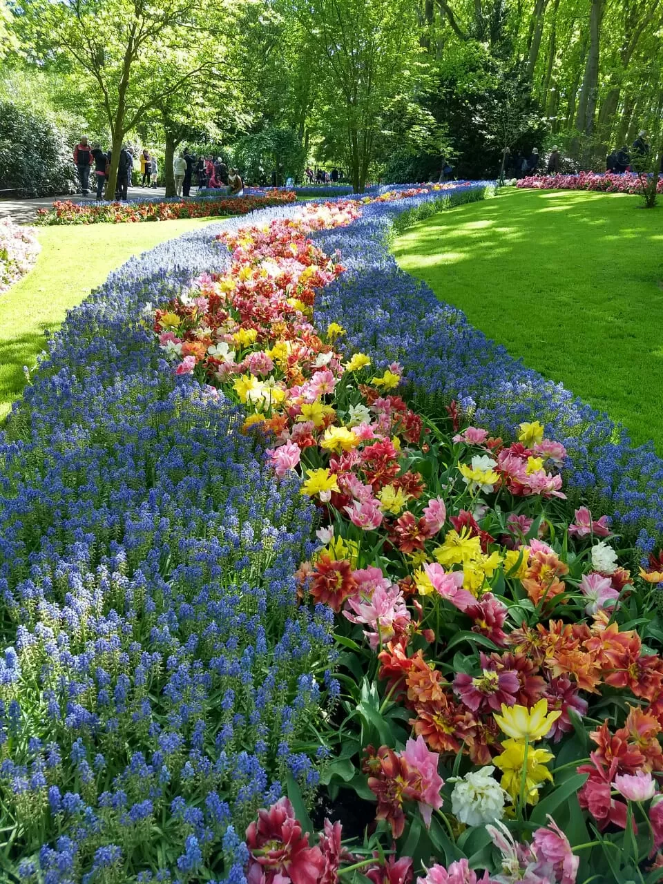 Photo of Keukenhof By Debasmita Mukhopadhyay