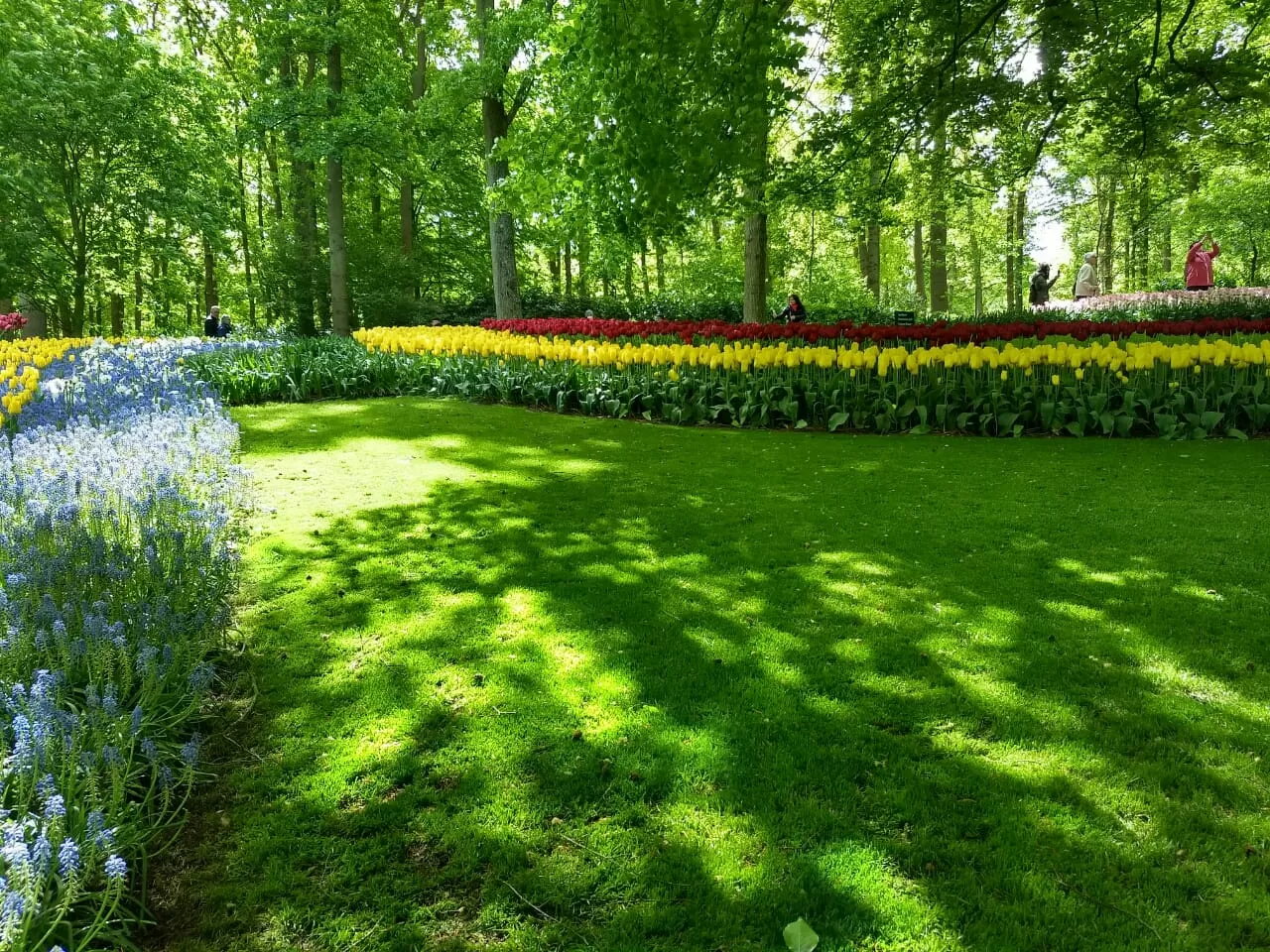 Photo of Keukenhof By Debasmita Mukhopadhyay