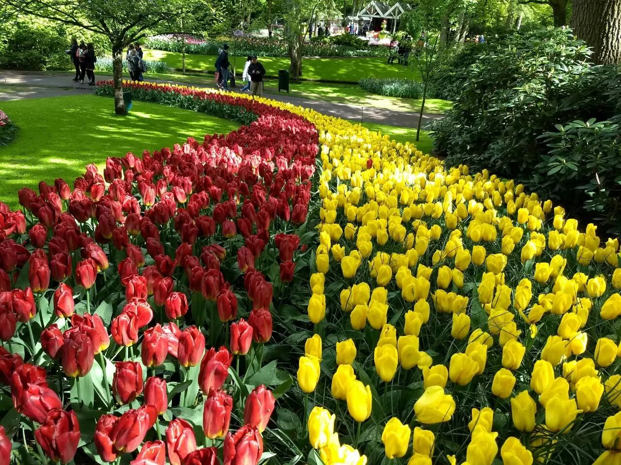 Photo of Keukenhof By Debasmita Mukhopadhyay