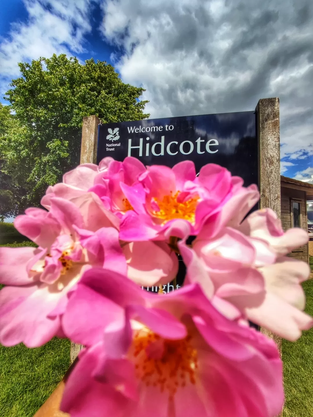 Photo of Hidcote Bartrim By Meetu Varshney