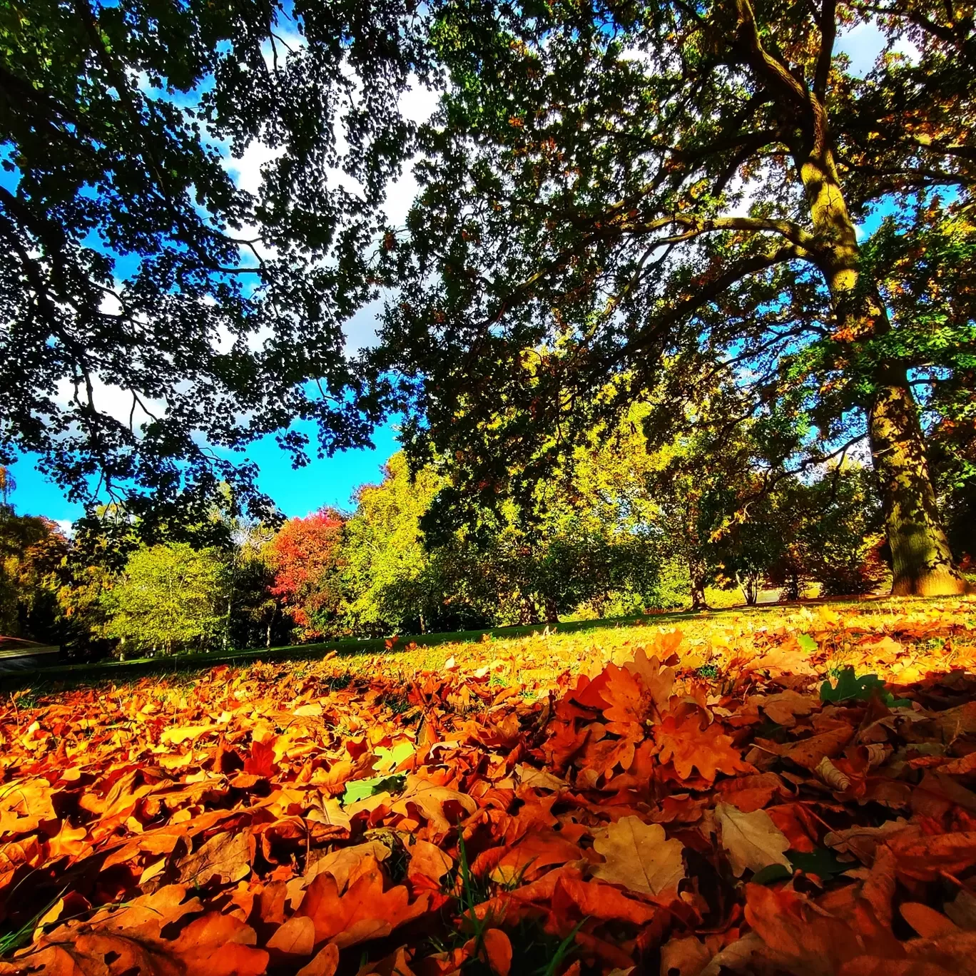 Photo of Northampton By Meetu Varshney