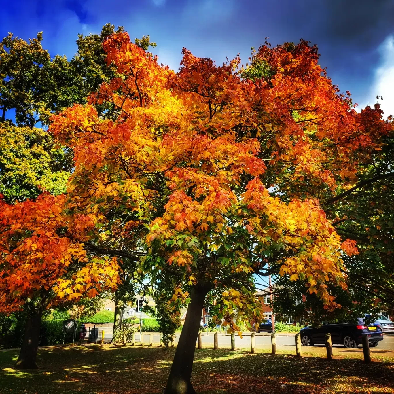 Photo of Northampton By Meetu Varshney